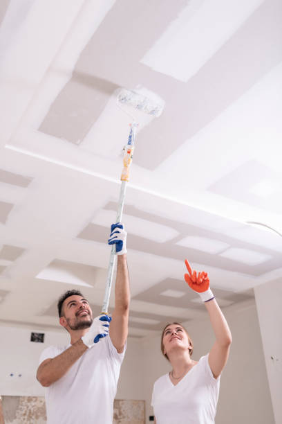 Best Mold Damage Restoration  in Seabrook, TX